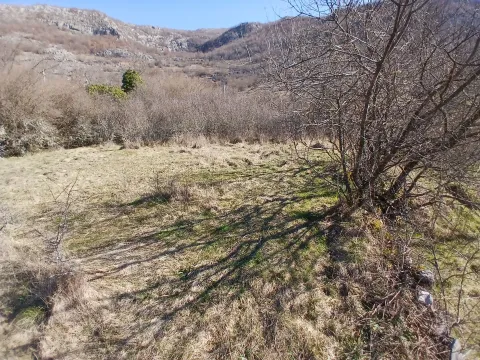 Prodaja, plac, 6256m², Čevo, Cetinje - image 8