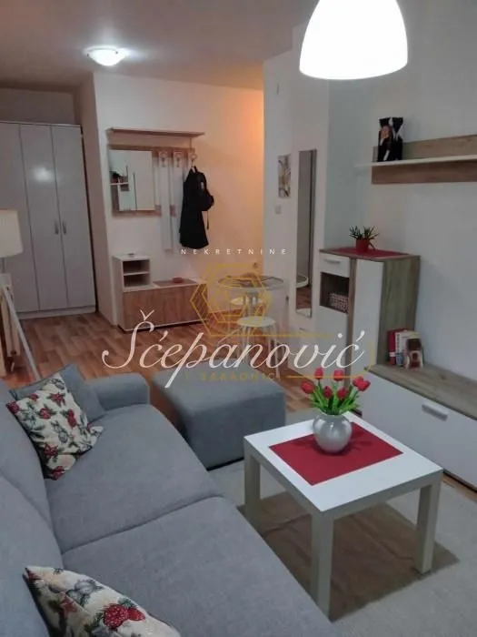 Izdavanje, stan, 34m², Telep, Novi Sad Sve Podlokacije
