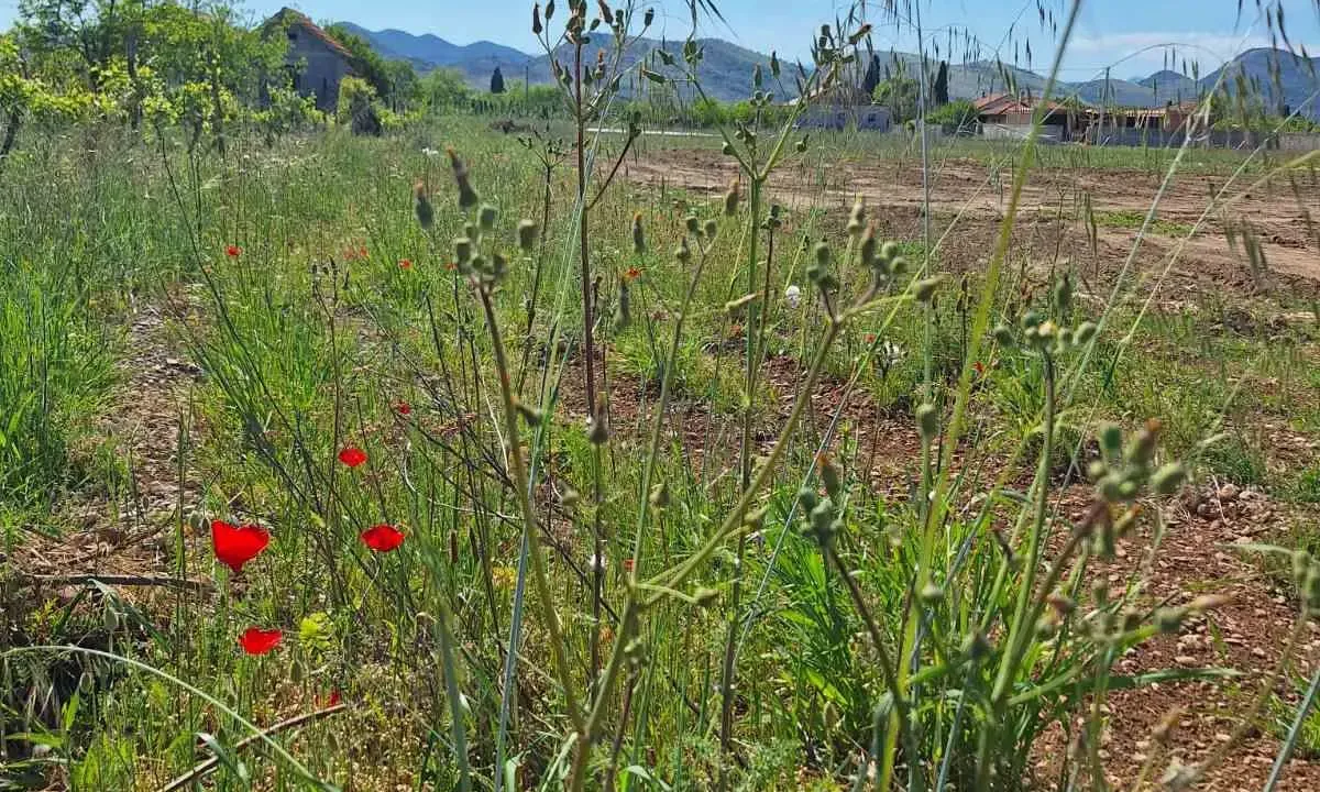 Sale, land lot, 3100m², Zeta, Podgorica