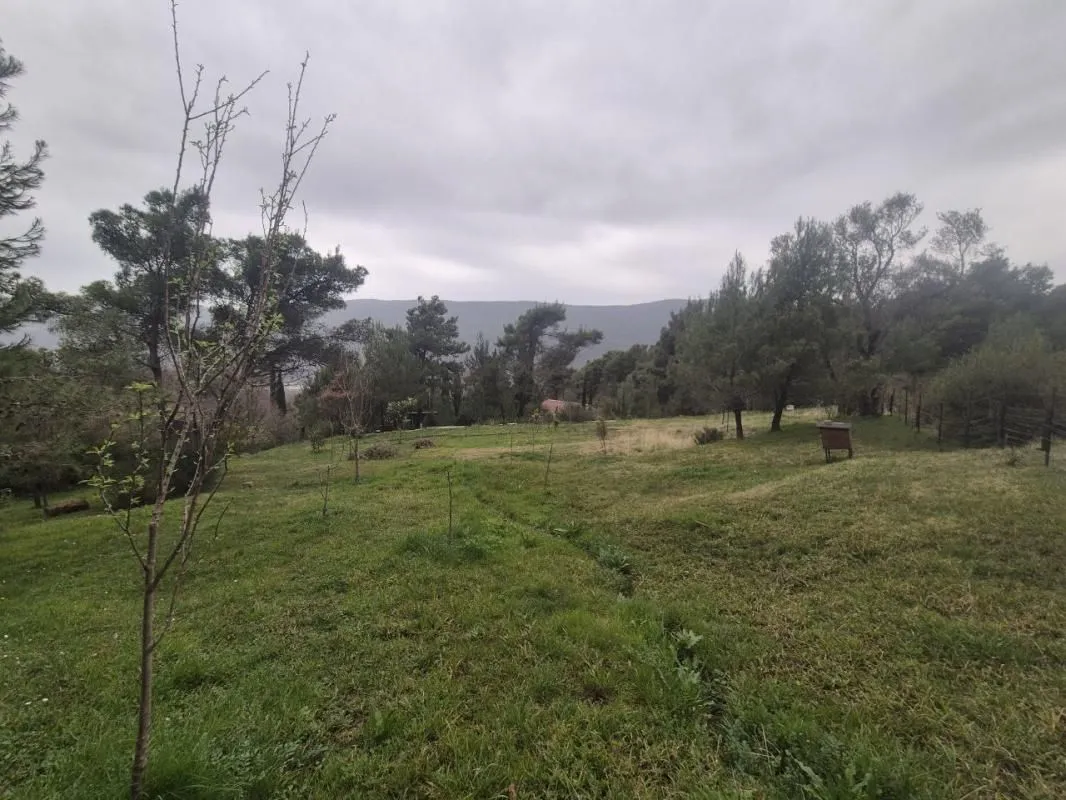 Prodaja, plac, 980m², Mojdež, Herceg Novi