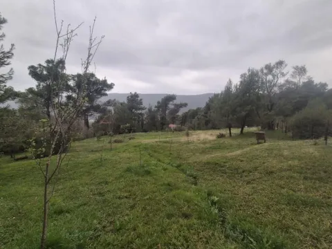 Prodaja, plac, 980m², Mojdež, Herceg Novi - image 11