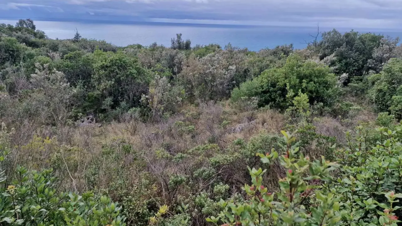 Sale, land lot, 5000m², Zagora, Kotor