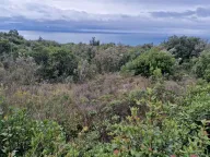 Sale, land lot, 5000m², Zagora, Kotor - image 1