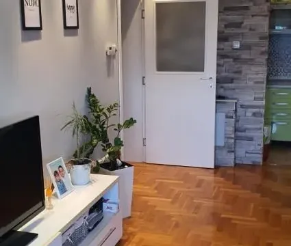 Izdavanje, jednosoban stan, 47m², Nova Detelinara, Novi Sad Sve Podlokacije - image 4