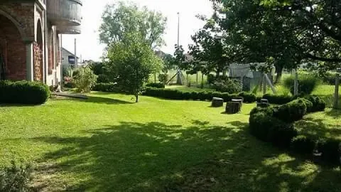 Zeleno dvorište sa travnjakom, drvećem i ukrasnim žbunjem pored kuće. - image 8