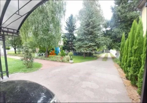 Uređeno dvorište sa stazom, zelenilom i visokim četinarima. - image 11