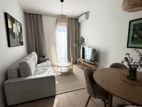 Izdavanje, jednosoban stan, 45m², Tološi, Podgorica - image 6