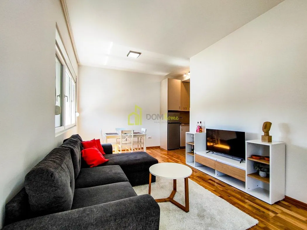 Rent, one bedroom apartment, 40m², Zagorič, Podgorica