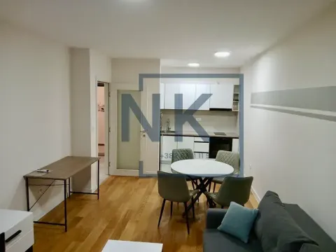 Izdavanje, jednosoban stan, 49m², Central Point, Podgorica - image 3