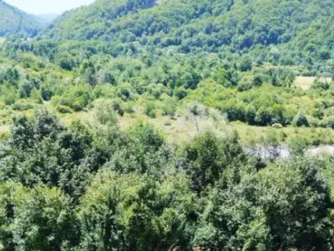 Sale, land lot, 3021m², Vladoš, Kolašin - image 4