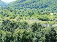 Sale, land lot, 3021m², Vladoš, Kolašin - image 4