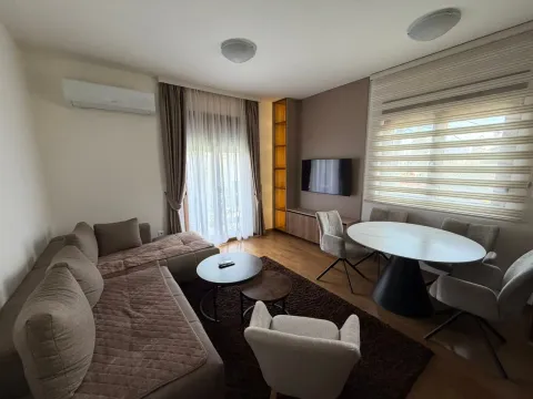 Rent, one bedroom apartment, 45m², Vezirov Most, Podgorica - image 2