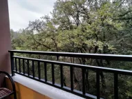 Izdavanje, jednosoban stan, 43m², Budva, Crna Gora - image 5