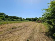 Prodaja, plac, 4000m², Kosić, Danilovgrad - image 4