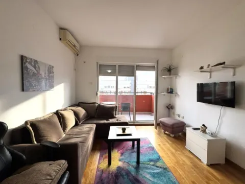 Izdavanje, garsonjera, 30m², Tuški Put, Podgorica - image 10