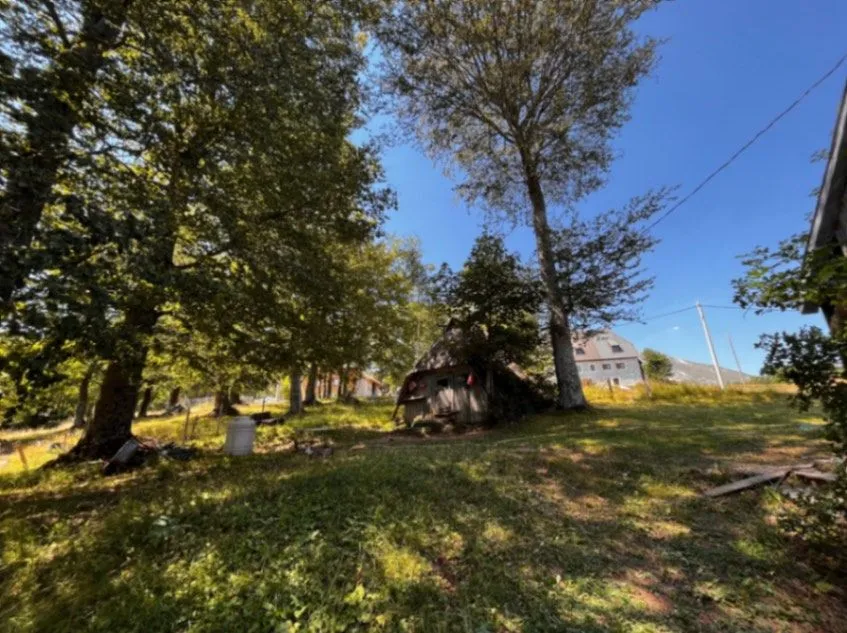 Prodaja, plac, 12000m², Žabljak, Crna Gora
