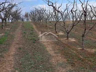 Prodaja, plac, Begaljica, Grocka - image 9