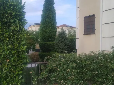 Rent, house, 262m², Zabjelo, Podgorica - image 4