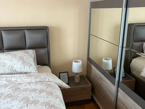 Izdavanje, jednosoban stan, 47m², Podgorica, Crna Gora - image 8