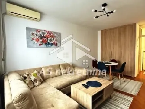 Izdavanje, stan, 37m², Palilula Sve Podlokacije, Beograd - image 6