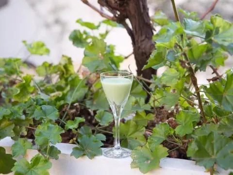 Izdavanje, dvosoban stan, 85m², Budva, Crna Gora - image 23