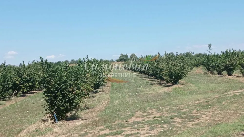 Prodaja, plac, 63000m², Centar, Ub