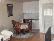 Izdavanje, jednosoban stan, 49m², Central Point, Podgorica - image 2