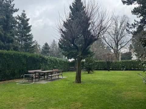 Rent, four bedroom apartment, 150m², Dedinje Sve Podlokacije, Beograd - image 14