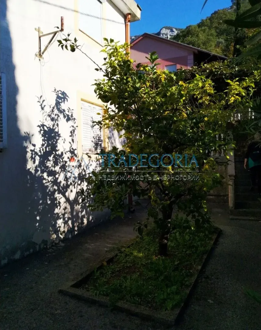 Prodaja, ugostiteljski objekat, 240m², Čanj, Bar