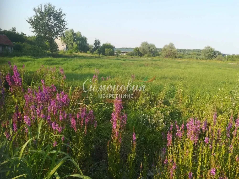 Prodaja, plac, 7200m², Krnjaca, Palilula Sve Podlokacije