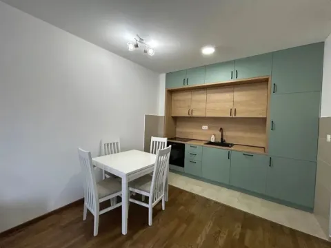 Rent, one bedroom apartment, 42m², Zabjelo, Podgorica - image 1