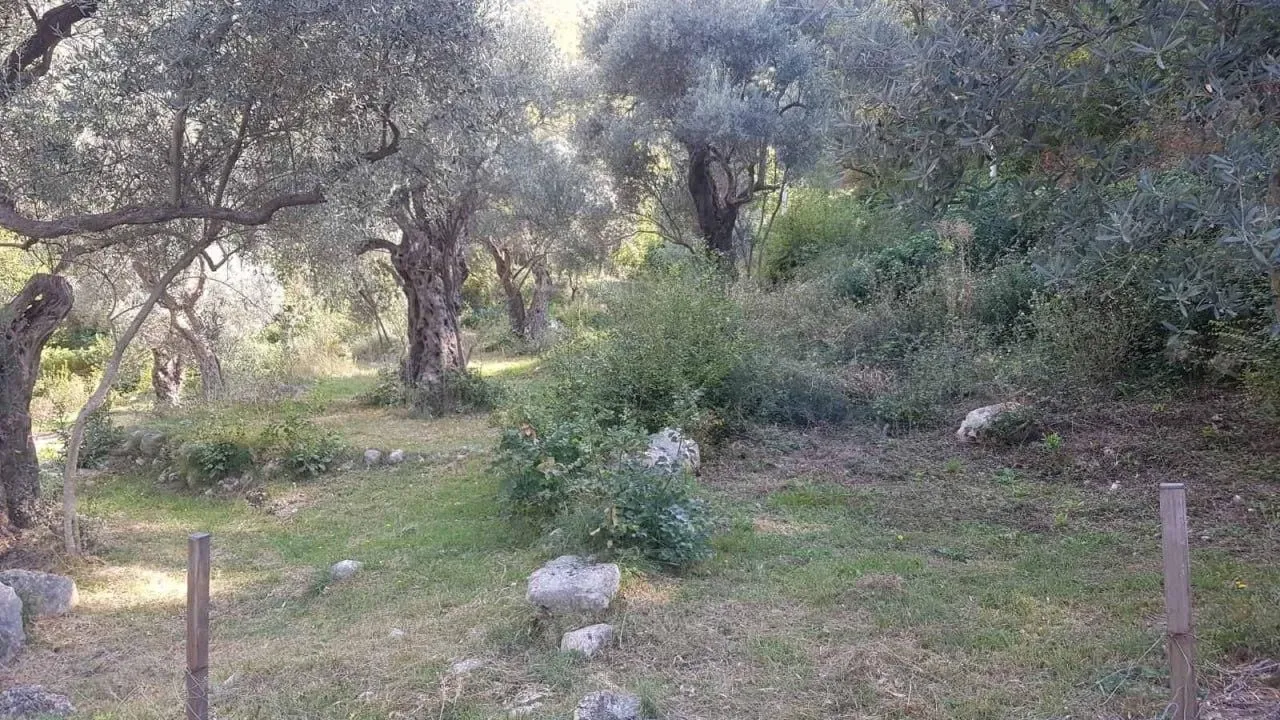 Prodaja, plac, 3413m², Bartula, Bar