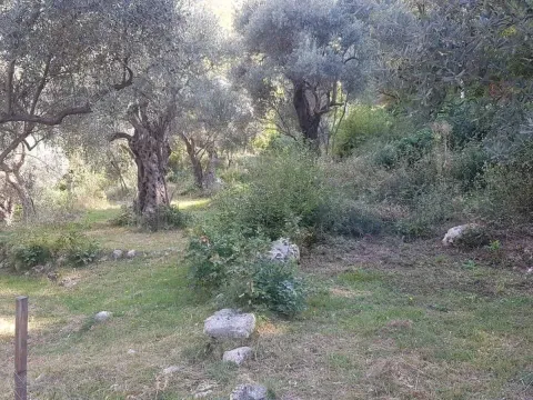 Prodaja, plac, 3413m², Bartula, Bar - image 3