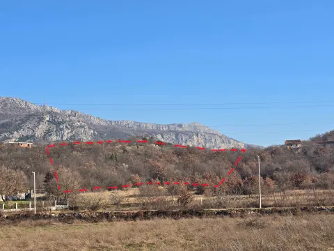 Sale, land lot, 11798m², Pričelje, Podgorica - image 5