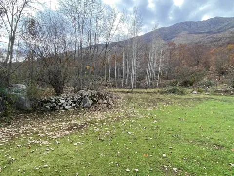 Prodaja, plac, 63937m², Zagreda, Danilovgrad - image 3