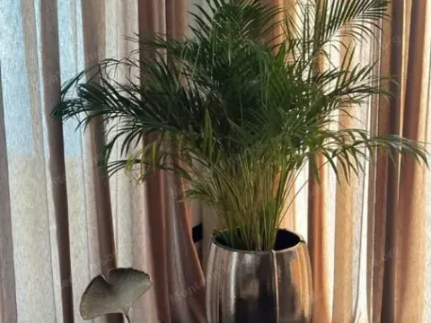 Sale, house, 257m², Kuljače, Budva - image 16