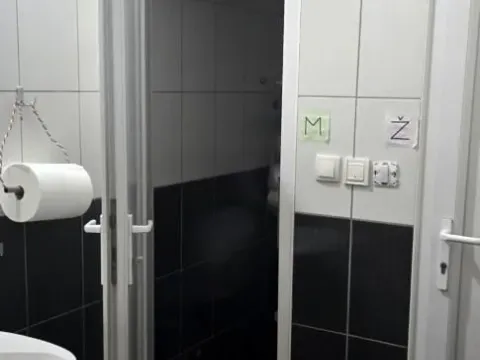 Rent, office space, 450m², Veternik, Novi Sad Sve Podlokacije - image 16