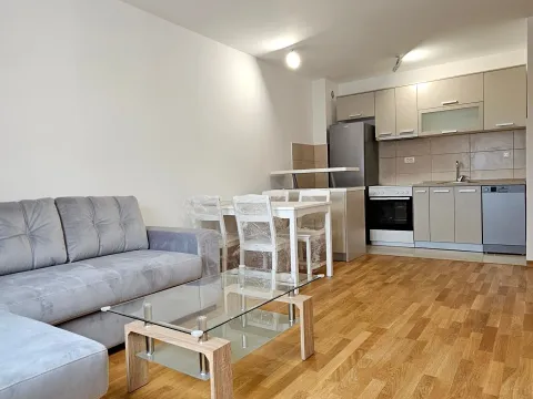 Rent, one bedroom apartment, 42m², Stari Aerodrom, Podgorica - image 4