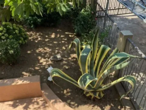 Sale, house, 180m², Dobre Vode, Bar - image 10