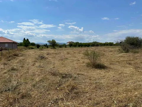 Prodaja, plac, 6000m², Zeta, Podgorica - image 3