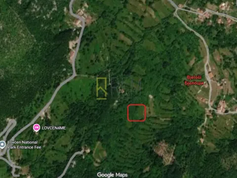Prodaja, plac, 5300m², Bjeloši, Cetinje - image 1