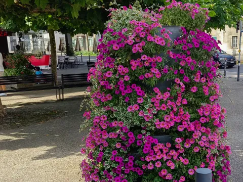 Rent, one bedroom apartment, 20m², Voždovac Sve Podlokacije, Beograd - image 2