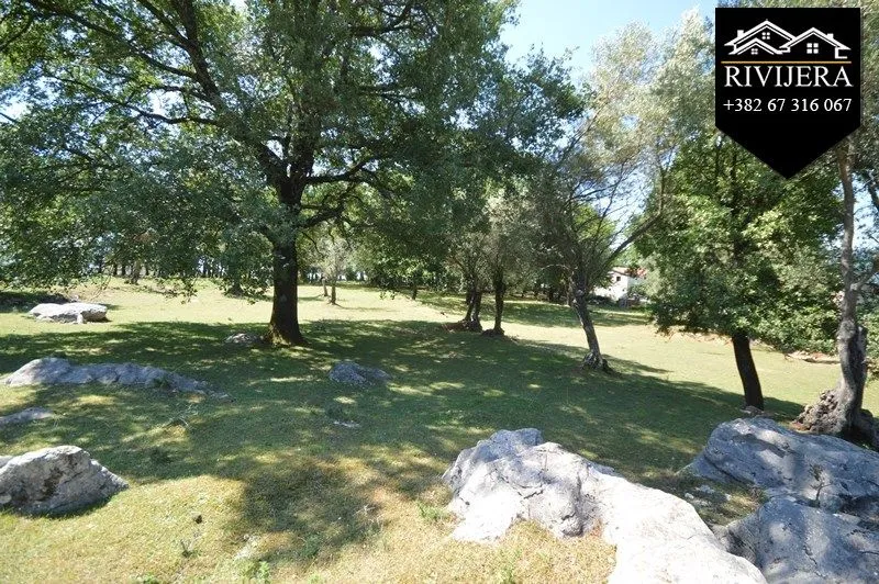 Prodaja, plac, 19000m², Podi, Herceg Novi