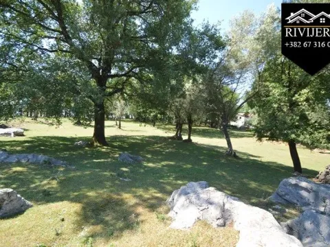 Prodaja, plac, 19000m², Podi, Herceg Novi - image 6