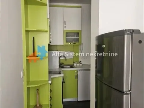 Izdavanje, dvosoban stan, 48m², Vračar Hram, Vračar Sve Podlokacije - image 4