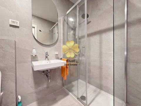 Izdavanje, jednosoban stan, 50m², Central Point, Podgorica - image 11