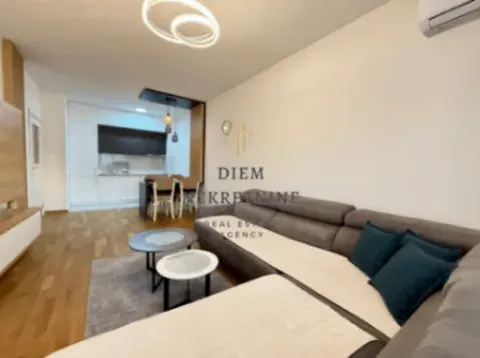 Izdavanje, jednosoban stan, 46m², Stari Aerodrom, Podgorica - image 2