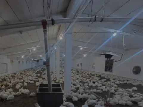 Prodaja, poslovni prostor, 2888m², Urovci, Obrenovac - image 11