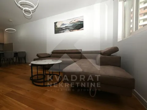 Izdavanje, jednosoban stan, 49m², Central Point, Podgorica - image 2