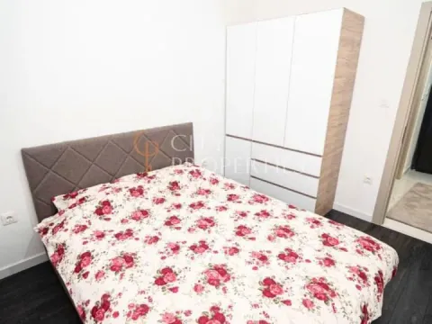 Rent, apartment, 40m², Zabjelo, Podgorica - image 10